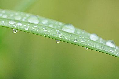 《Classic Marathon》Steam免费发布 经典第一人称FPS